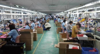 農(nóng)村創(chuàng)業(yè)新路徑 農(nóng)副產(chǎn)品開發(fā)與技術(shù)服務(wù)的雙輪驅(qū)動